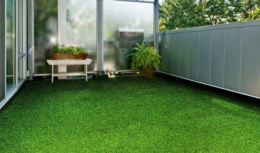 Low Maintenance grass