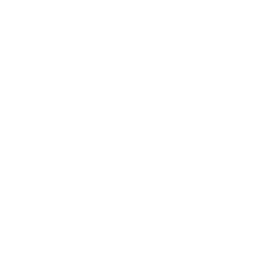 thermometer