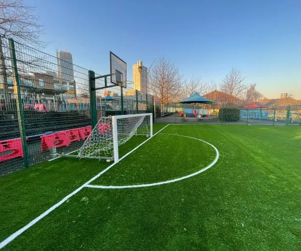 low maintenance sports grass