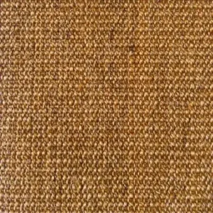 Bio-Boucle Amber