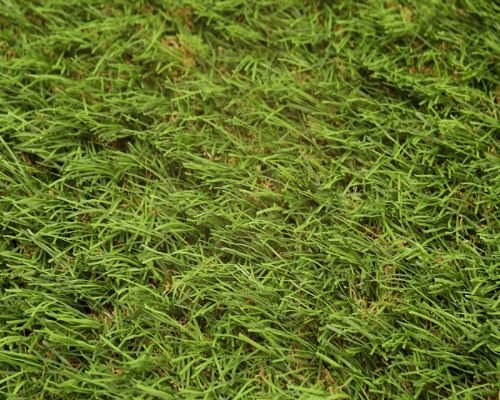 Boundary Artificial Grass