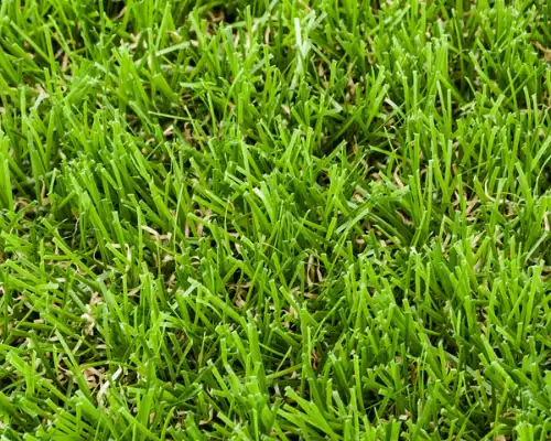 Derwent Artificial Grass 1