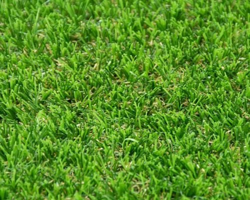 Eden Artificial Grass