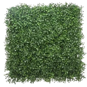 Boxwood Hedge Artificial Grass Wall