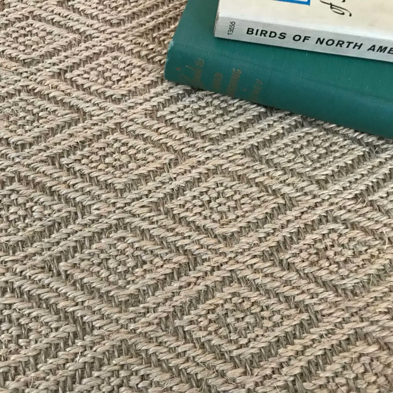 Salt Spring Sisal Carpet – Style Meets Strength - Image 2