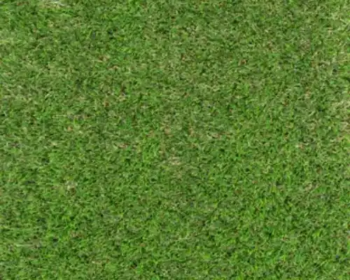 Witham 42mm Fake turf