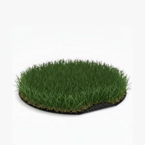Bermuda Resize