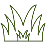 Turf That Is Perfect For High traffic Areas