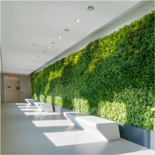 Decorative wall grass feature apartment