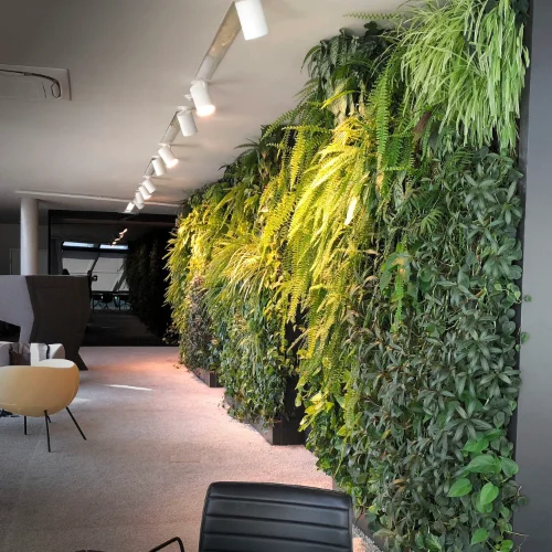 Green Wall Commercial grade