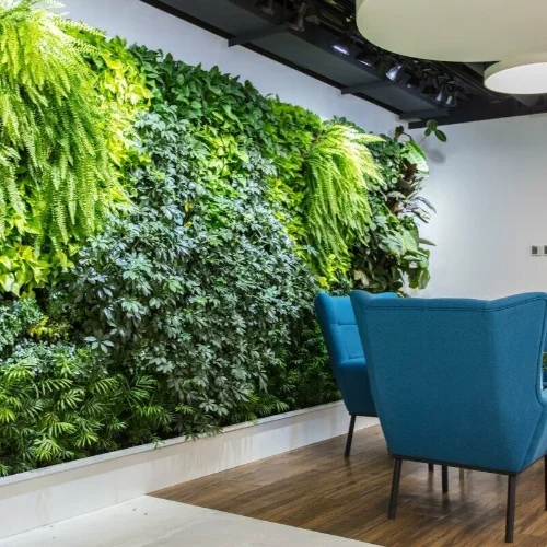 Indoor wall grass design home