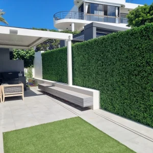 classic boxwoodgreen wall 3833994