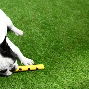 evergreen 30mm 64c10af0 913c 4569 9b67 4e33bed6dd06