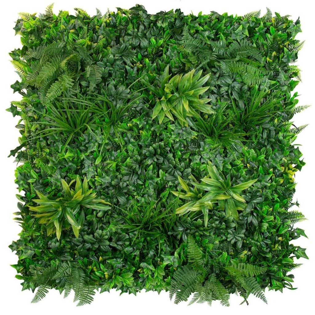 evergreen coastalgreen wall 2355509