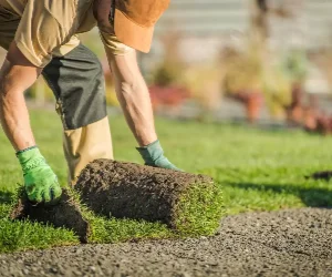 Grass Installation Work