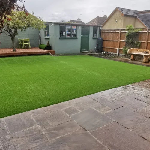Low Maintenance Lawn Grass
