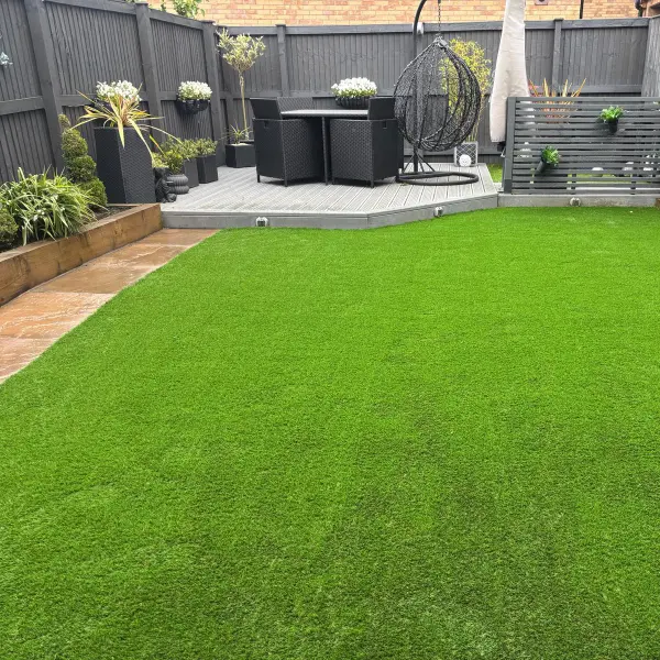 Lush green backyard grass with natural look