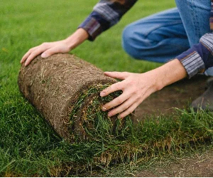 Our Artificial Grass Installation