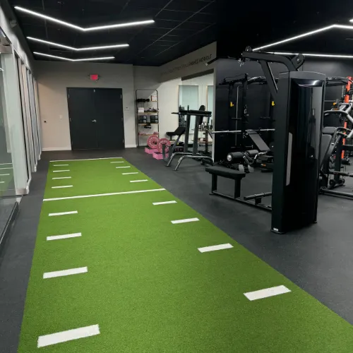 artificial grass in Dubai Gym