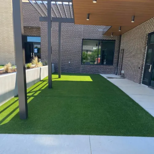 artificial grass in Dubai Hotel