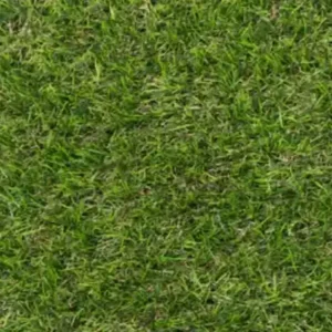 Stamford 40mm Artificial Grass