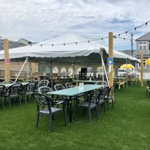 Garden Restaurants With Artificial Grass