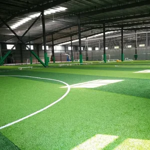 Sports Artificial Grass