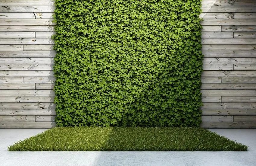 Artificial Grass Fixing On Wall