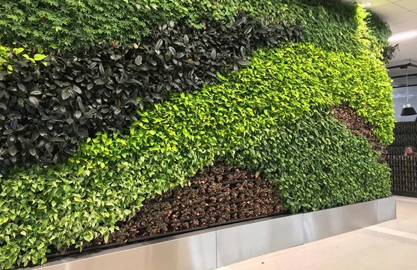 Natural Green Wall