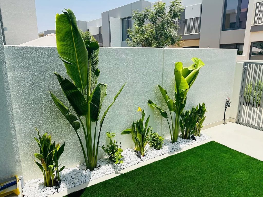 Artificial Grass Installation in Al Quoz Villa Garden (4)