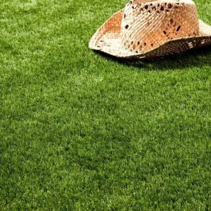 Hollywood Artificial Turf for Outdoor Landscaping