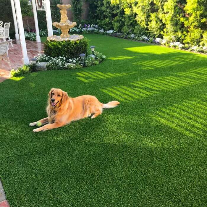 Pet Friendly artificial grass install in Dubai home garden